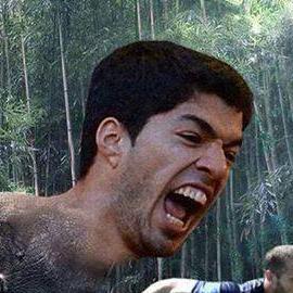 te sigo y me seguis porfa