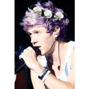 if u love niall, follow me pls!