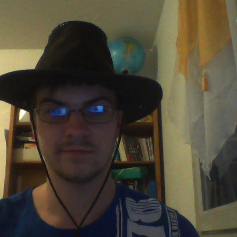 311fox's profile picture. 