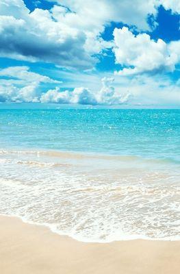 amorsecreto0's profile picture. 