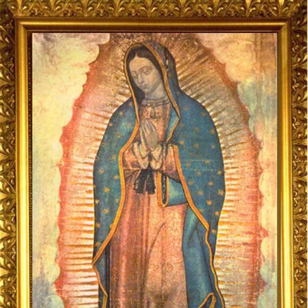 PedroMuroMusico's profile picture. 