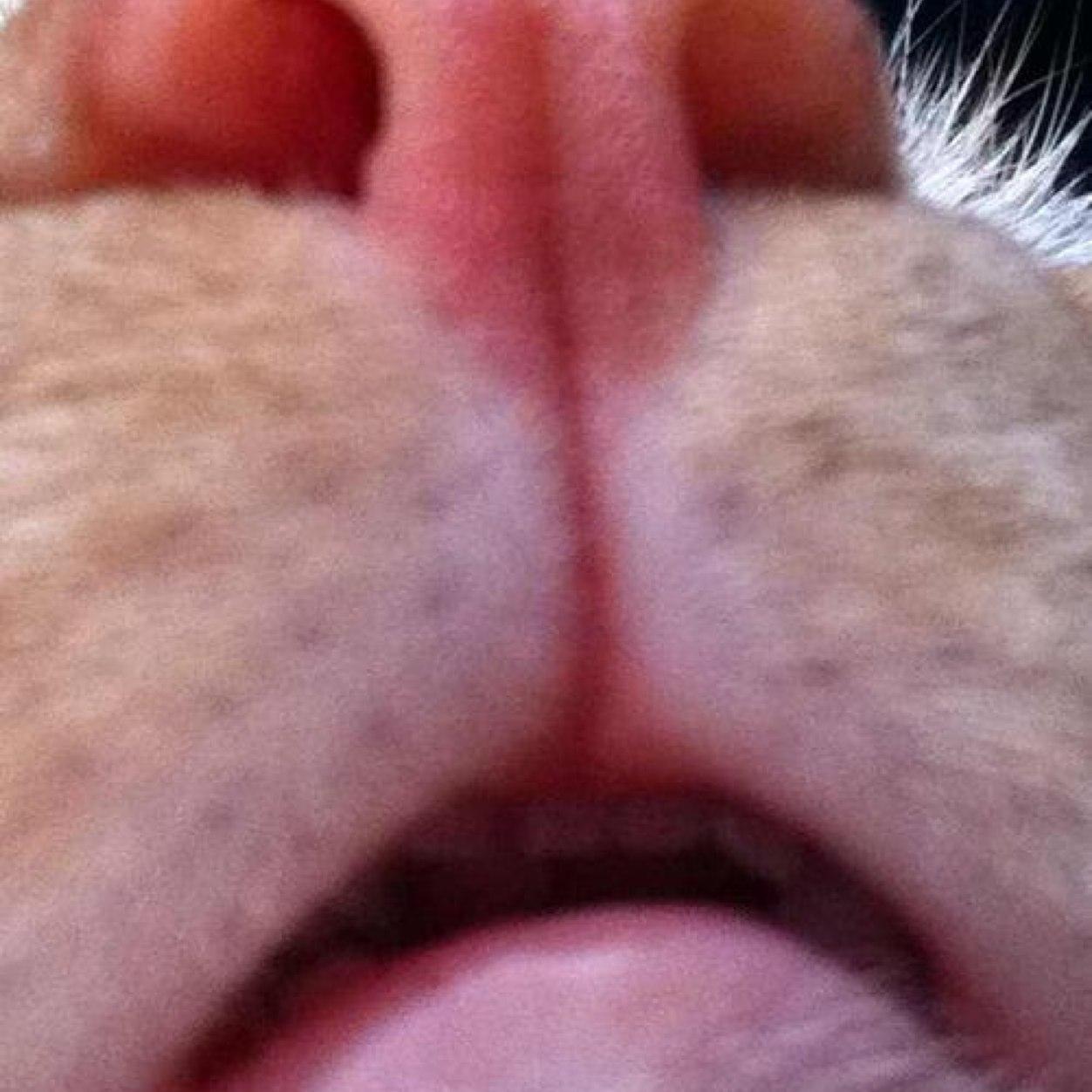 Intern Leland Margolis. Night Vale College. I love cats. One eye and one void to another dimension. 4'5 @HermesTalaria