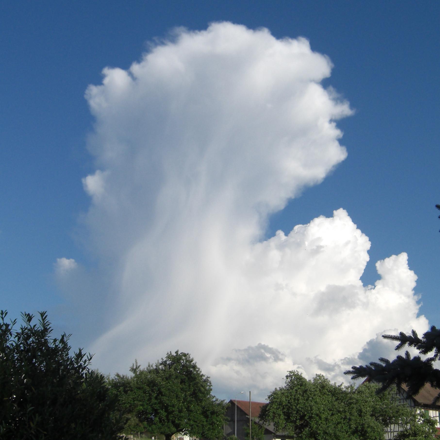 @CloudwizardNews