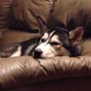 Alex knopf  - @gen3ral - Twitter