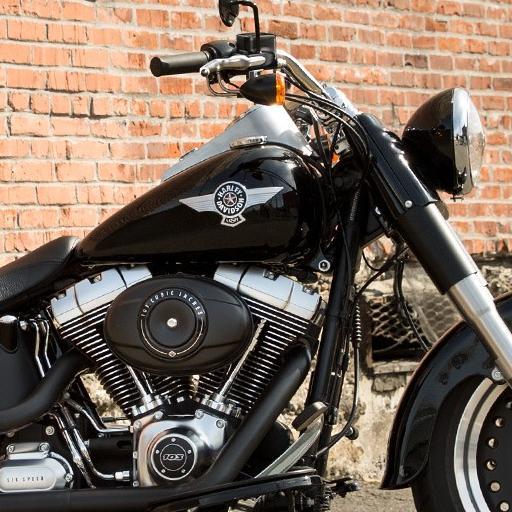 dgreenatl's profile picture. 