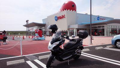 kouji8034's profile picture. 