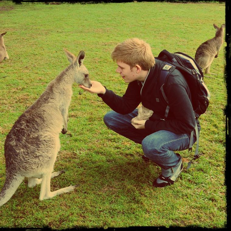 Sfernandez88's profile picture. 