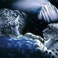 blackwitch120's profile picture. 