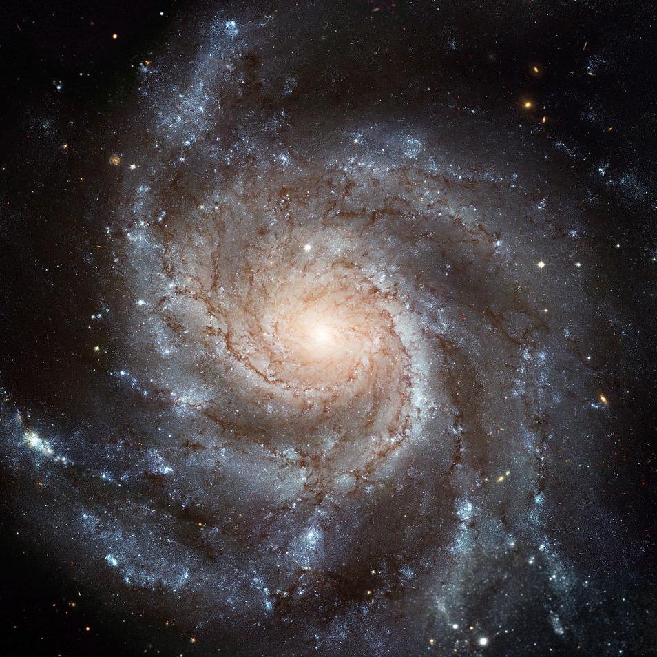 Scientific Space Systems is dedicated to making space accessible for everyone.
