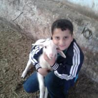 şevket öcal (@sevketocal) 's Twitter Profile
