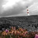 Sara Musto - @mustosara1 - Twitter