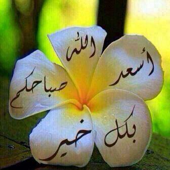 MedoBird2020's profile picture. ‏‏‏لا اله الا انت سبحانك اني كنت من الظالمين ..ولا اله الا انت استغفرك واتوب اليك