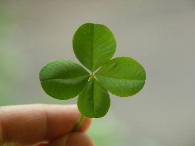 everything will come by itself