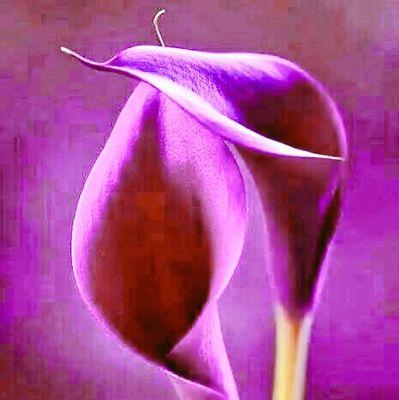 We need to believe in our selves,most of us are stronger than we think. Welcome home Zeino U S A