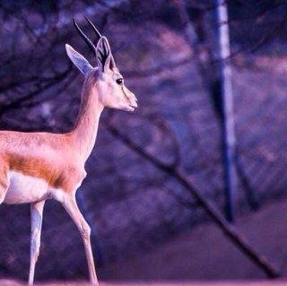 سبحآن الله وبحمده ♡