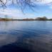 Brewster Ponds (@brewsterponds) Twitter profile photo