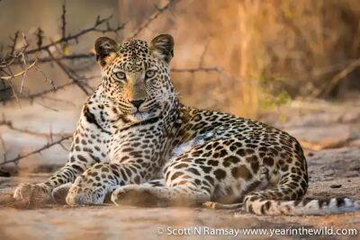 GoAfricaAdventu's profile picture. Our TourGroup owns their property, so w/Exclusive TourVan/Bus No Middle-Man. Excursion Meals Incl. Tour Group Atlantic to Indian Ocean +1.530-586.4787