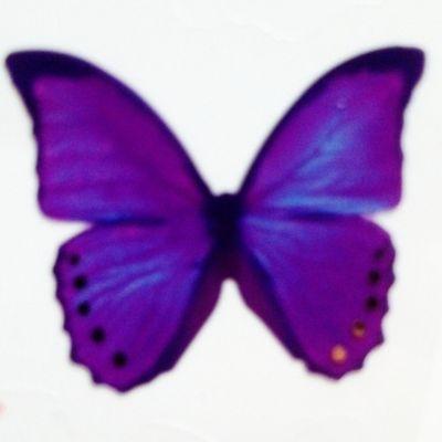 みー。