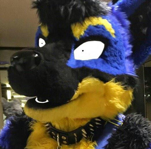 Find me @silentwolf.bluesky.social

Lemonberry wolf in the PNW.