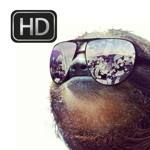FIFA youtuber/Reviews/Squadbuilder