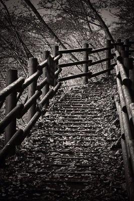 hammza2013's profile picture. التواصل علی الخاص