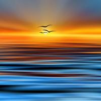 بتاع كلو (@aljar_f) Twitter profile photo