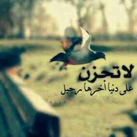 َ اهلا رجعت لتويتر مره اخرى من كان محتاج لمساعده لكل من عندهم م المشاكل ومتاعب الحياه يجي خاص وبإذن الله اساعده  واسال الله ان يجعلها بميزان حسناتي
