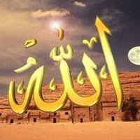 خالد العتيبي (@k2als) 's Twitter Profile
