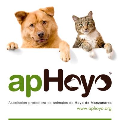 Asociación Protectora de Animles sin ánimo de lucro, trabajamos por y para los animales, no tenemos refugio, ¿quieres ser casa de acogida? info@aphoyo.org