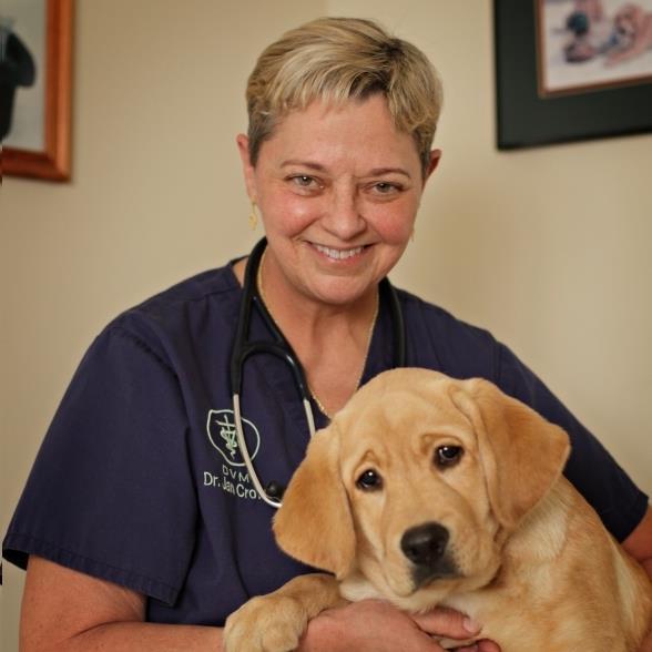 Creekside Vet Clinic Goose Creek, SC. Dr. Crowe and her staff offer full service veterinary medical care. Here for the life of your pet because we care!
