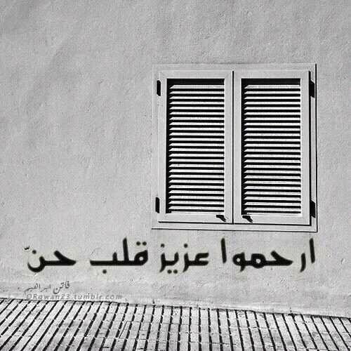 #أهلاوية. بحب #منير #دياب و #تامر_عاشور. بعشق اللون #الأسود #الاخضر , #البينك .. ماله #البطيخى جميل i love tom and jerry