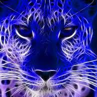 Love4theAnimals's profile picture. I speak for the ones with no voice