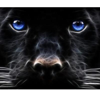 RyanRyanmcd3's profile picture. Hyped