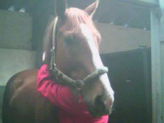 xChantalN's profile picture. 