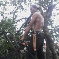 JASA TEBANG POHON (@nugrohowarok) 's Twitter Profile