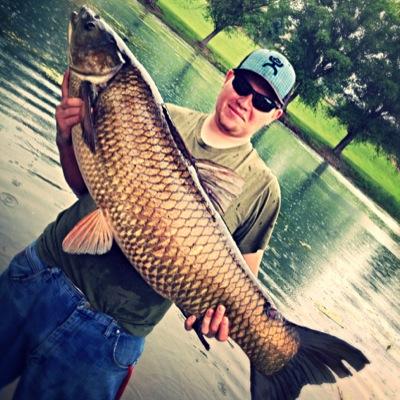 briardmeek's profile picture. 