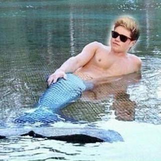 follow @bluelxrrytea ask for a follow back :)