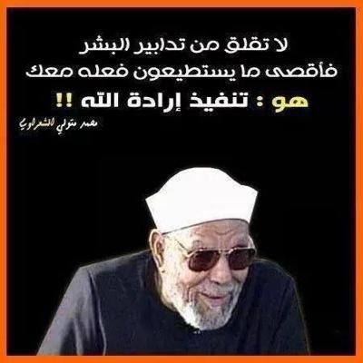 sm7sm7_'s profile picture. 