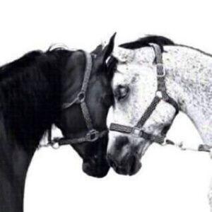 ‏‏‏-مايشبهك الا الجفا ولا الوفاء واجد عليك ✋. 
-لان النعمم لا تدوم رحلت امي . 
-ام اجمل عيون.