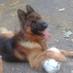 Diego German Rosato (@diegoloso2008) Twitter profile photo
