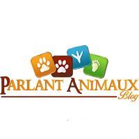ParlonsAnimaux's profile picture. Le bien être des animaux