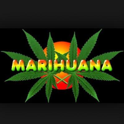 lavezzi2496's profile picture. 