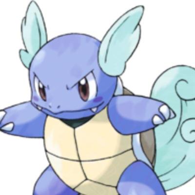 wartortle