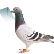 laeshari's profile picture. Love People & Use Things