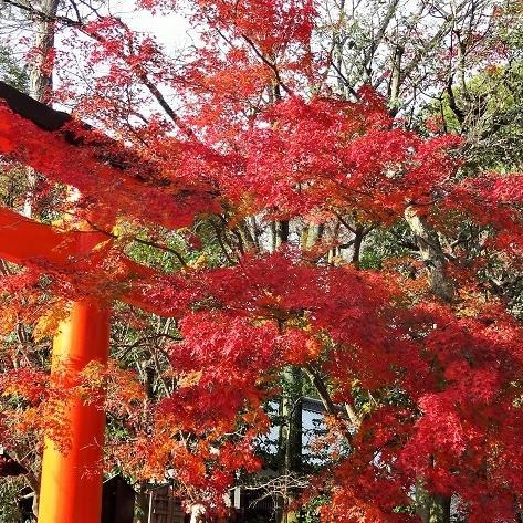 京都住みの寺社・御朱印ファン、京都の寺社を歩いてレポートします。フォローはお気軽に、無言フォローお許しを。御朱印ブログもよろしくです！ 京都 御朱印 寺社 仏像 写真 神戸 横浜 自然 花 山 旅行 祇園祭 五山送り火