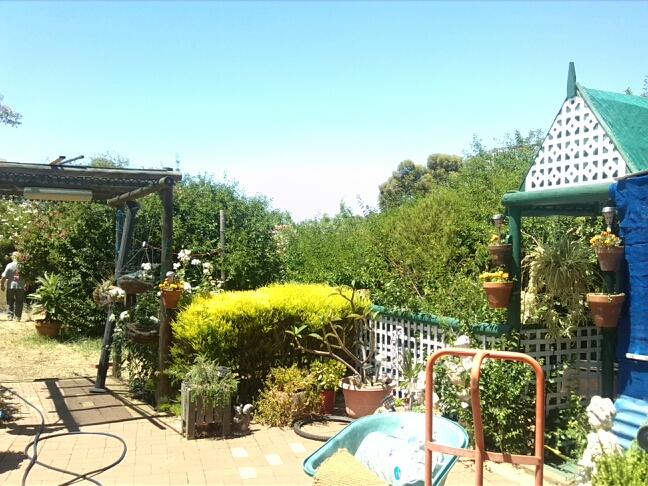 TaylorKeir's profile picture. 