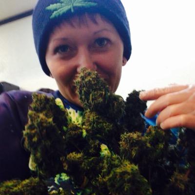 I'm a professional medical marijuana budtender. I came to Colorado in 2014 with a guy who turned into a retard and cheated on me, so I'm alone.