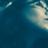 mahalokar's profile image