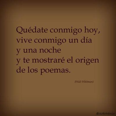 El poeta del amor
