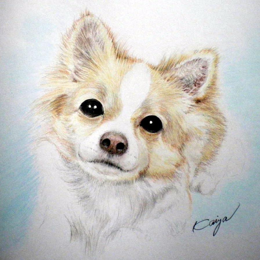 gon3さんのプロフィール画像